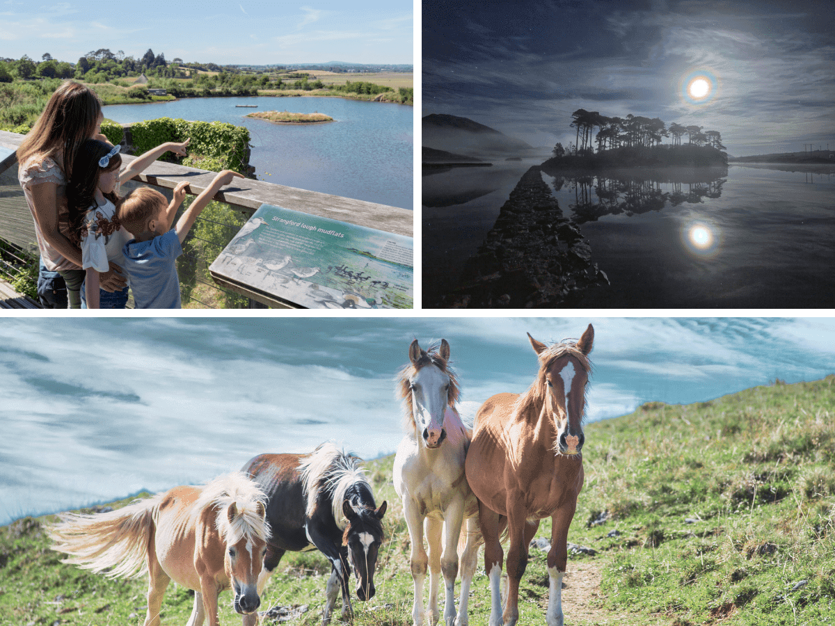 14 Magical Stops on Your Self-Drive Ireland Road Trip for an Unforgettable Experience